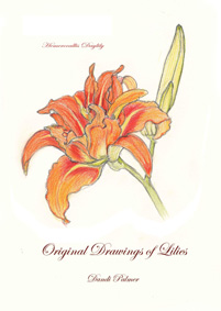 Easter lily, hemerocallis